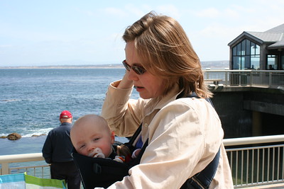 Monterey Bay Aquarium photo