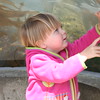 Ryan > Miss Claire, enjoying the up-close experience at the Monterey Bay Aquarium.