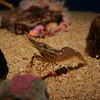 Ryan > Monterey Bay Aquarium photo